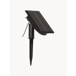 Gaismas ķēdes globuss (zvaigžņu tirdzniecība)