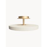 Ceiling lamp (asteria)