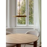 Pendant lamp (asteria)