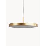 Pendant lamp (asteria)