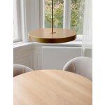 Pendant lamp (asteria)