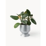 Flower pot 2 pcs (renya)