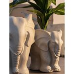 Flowerpot Garden (Bizzotto)