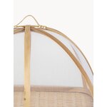 Alus Ancile (Côté Table)