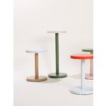 Coffee table (Trisse)