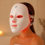 LED Face Mask (ErthSkin London)