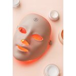 LED Face Mask (ErthSkin London)