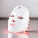 LED Face Mask (ErthSkin London)