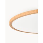 LED-kattovalaisin Oja (Nordlux)