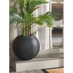Black Flower Pot Mora (Safavieh)