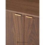 Brown Design Cabinet (Zumi)