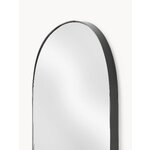 Seinapeegel (Francis)