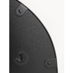 Seinapeegel (Francis)