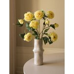 Tehislill Peony (Botané)
