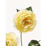 Tehislill Peony (Botané)