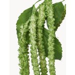 Искусственный цветок Forks Amaranthus (Botané)