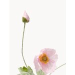 Artificial Flower Poppy (Botané)
