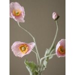 Artificial Flower Poppy (Botané)