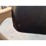 Pruun-must tool (jazmín) iluvigadega