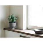 Brown Solid Wood Bowl Kullu (House Nordic)