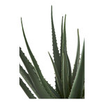 Keinotekoinen kasvi (aloe vera) ehjä