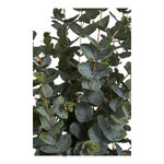 Kunsttaim Eucalyptus (House Nordic)