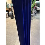 Toršeras (luomo) su kosmetiniais defektais