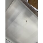 Light beige Tumba (Cucita)