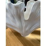 Keraamiline Valge Vaas (Gingko Muschel)