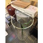 Vaas Green Leaf (Ichendorf)