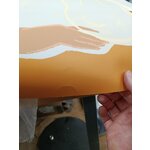 Plakāts ar krizantēmu (plakāts un rāmis)