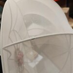 Beež Rippvalgusti (Beau)