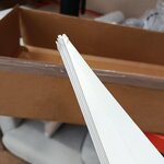 Poinsettia Andromeda (Jotex Sweden)