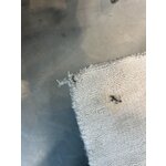 Ковер из вискозы цвета слоновой кости (jane) 200x300 с изъянами