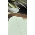 Ruskea TV-tukikohta Ramón (Angel Cerdá)