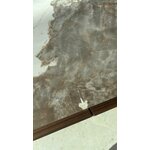 Ruskea TV-tukikohta Ramón (Angel Cerdá)