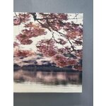 Fotolõuend cherry blossom terve