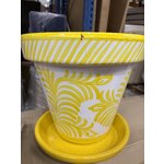 Kukkaruukku Grana (Jolipa)