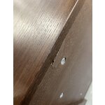 Tamsiai ruda lentyna su spintele (calary)