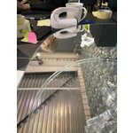 Disain Küünlajalg Lumier (Iplex)