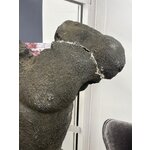 Decorative statue of a man (vical home) with cosmetic flaws.
