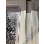 Mural jour après jour (ars longa) su grožio trūkumais