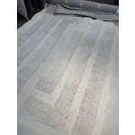 Smėlio spalvos kilimas su raštu (Ženeva) 200x300 purvinas