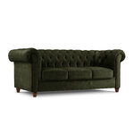 Lapis dīvāns, 3-vietīgs (micadoni home) tumši zaļš, samts, brūns dižskābarža koks