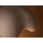 Riippuvalaisin Berta (Micadoni)