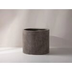 Puķupods halija (mikadoni)