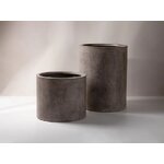 Puķupods halija (mikadoni)