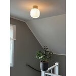 Ceiling lamp Vanya (Aneta)