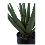 Keinotekoinen kasvi (aloe vera) ehjä