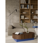 Oval coffee table (rylan)